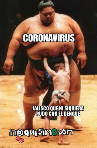 Meme de gordo sumo, y coronavirus